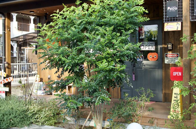 三島美容院 三島美容室 三島ヘアサロン オシャレ 土日 週末 予約状況
